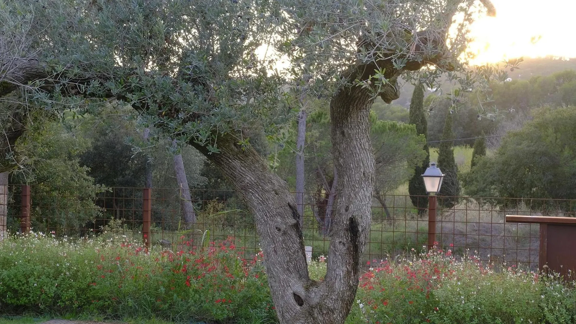 Villa Sa Llum Vall-Llobrega